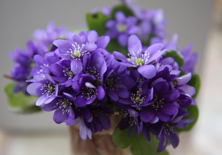 cf34_26462_111608812194486_100000361024386_158007_2774807_n