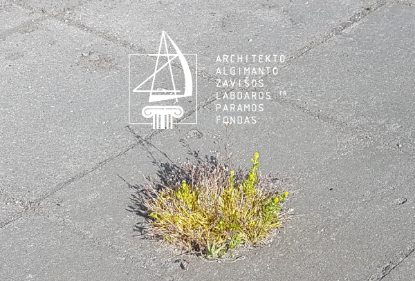 c105_AZF_2025_ArchitektamsLT_AZF(1)