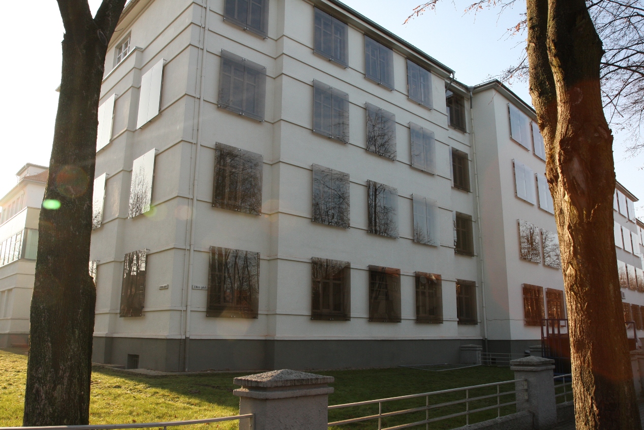 bc38_istiklintas fas_1