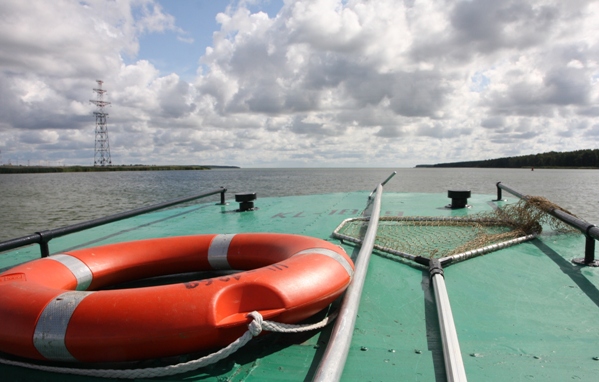 bbac_uostas_kiaules nugara 2