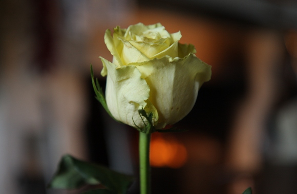 3619_sveik_Vitonis_121127