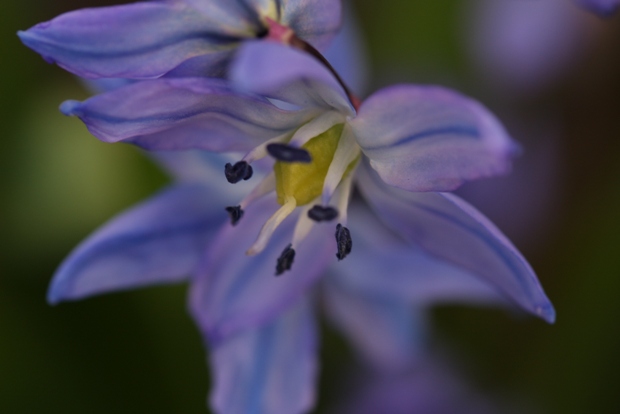 8465_nuotr_04 04 057_res