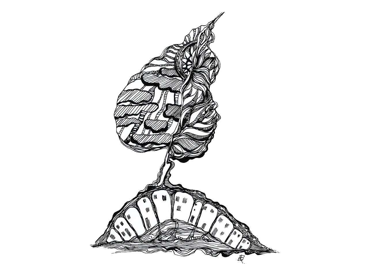 9b9d_Mano EKOnamai zenkliukas