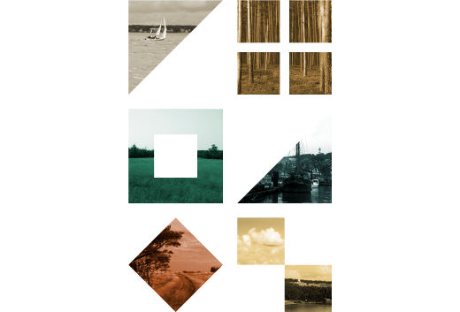 1006_PAVEIKSLIUKAS_Zavisines